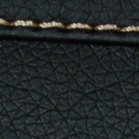 color swatch from the Black Vani purse