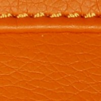 color swatch from the Orange Vani purse