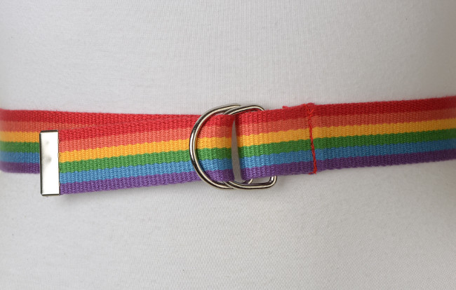 multi-color rainbow D-ring canvas belt