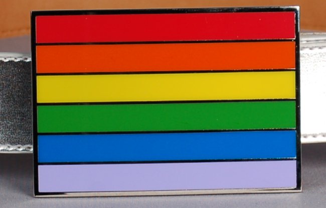 rainbow color bars belt buckle