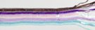 multi-color "corn-row" sequin net sash