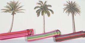 D-ring ribbon belts in tropical colors