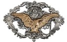perched spread eagle on brass and pewter western belt buckle