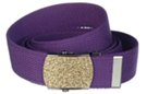 gold glitter buckle on purple web belt
