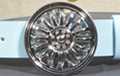 hubcap spinner buckle