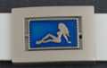 reversible frame belt buckle with mudflap girl and starry scorpion opposing