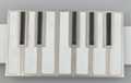 piano keyboard octave belt buckle