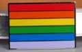 rainbow color bars belt buckle