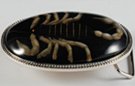black scorpion in resin on belt buckle