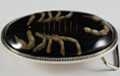 black scorpion in resin on belt buckle