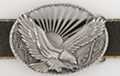 oval belt buckle with eagle and sunburst
