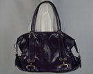 glossy travelers tote with cinched edges and vertical luggage straps